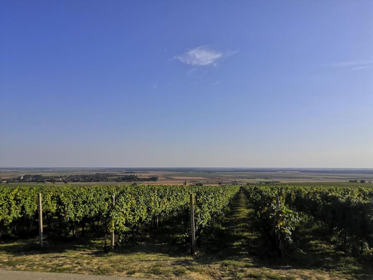 Kuca Za Odmor Kiss-Karanac,Baranja Villa Exterior photo